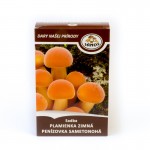 Sadba penízovka sametonohá/ ENOKI / 270 ml